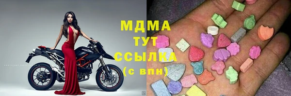 индика Бронницы